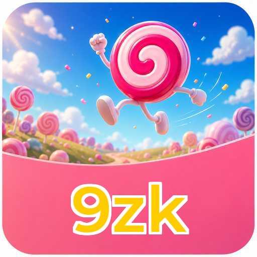 9zk APK Structure